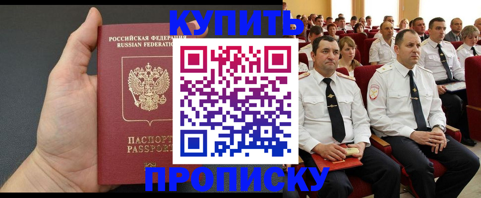 временная регистрация поиск в Курской области